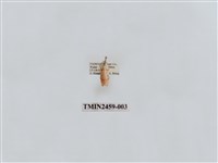 藏品(二斑紅緣苔蛾)的圖片